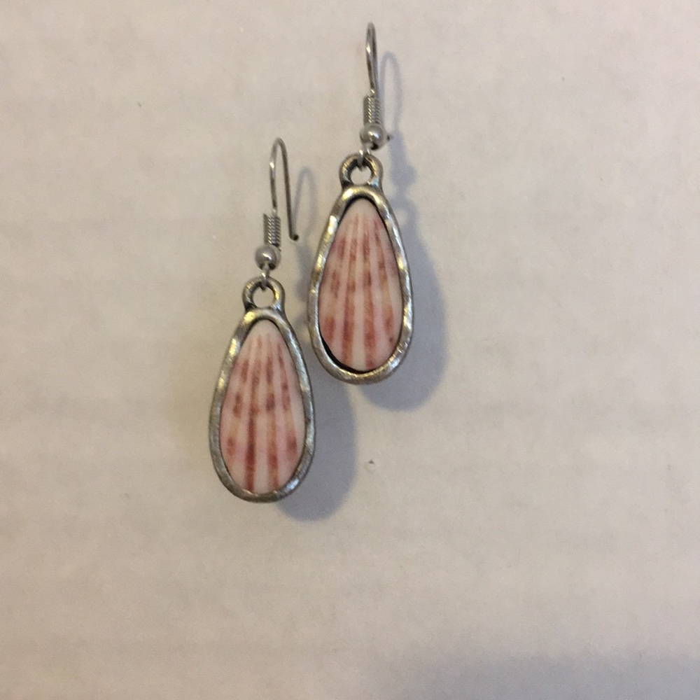Silver Shell Earrings